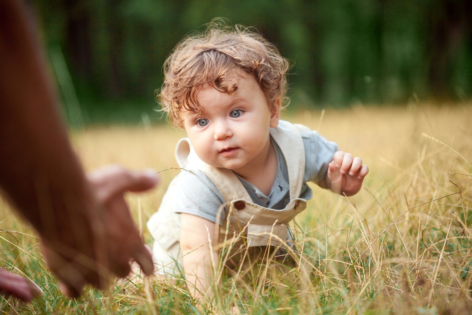 The little baby or year-old child on the grass in sunny summer day.