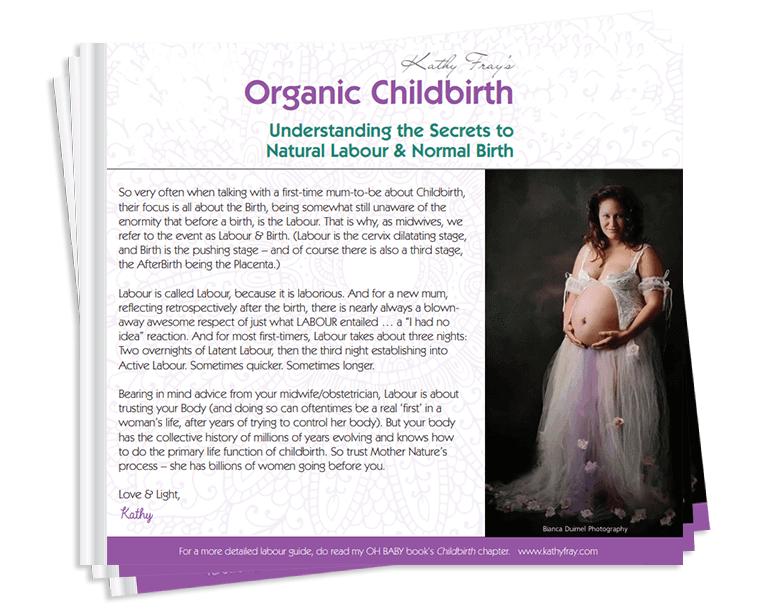 eBook Organic Childbirth